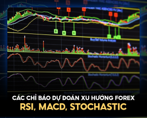 cac-chi-bao-du-doan-xu-huong-Forex