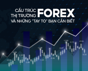 cau-truc-thi-truong-forex-va-nhung-tay-to-ban-can-biet