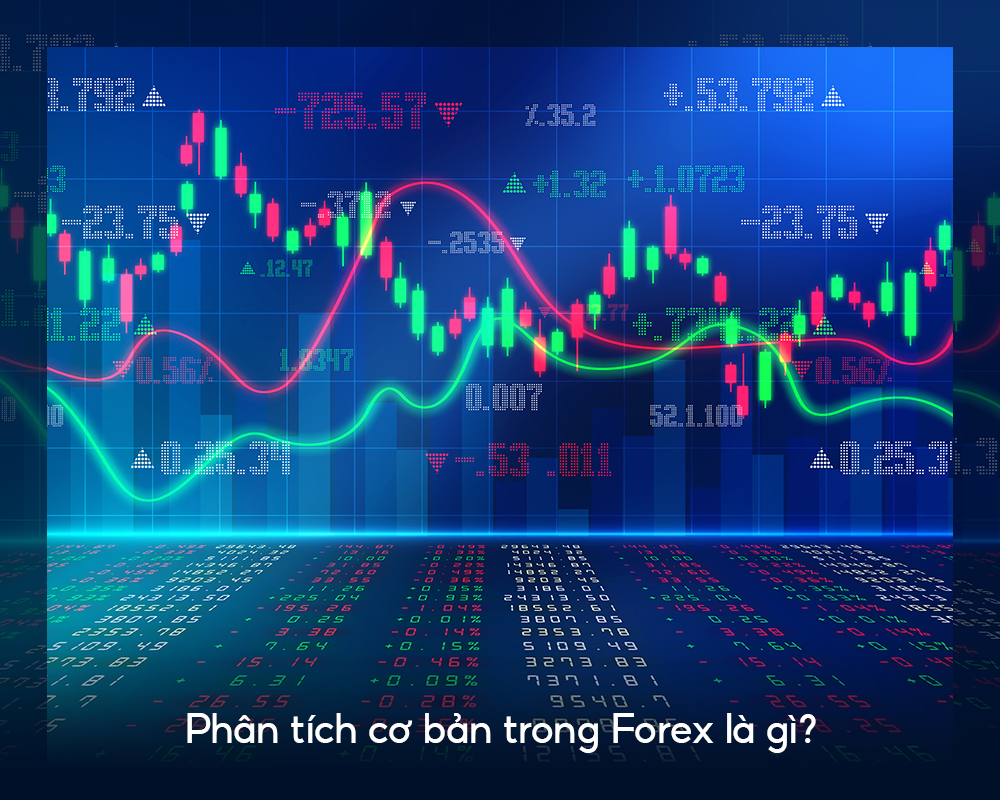 phan-tich-co-ban-trong-forex