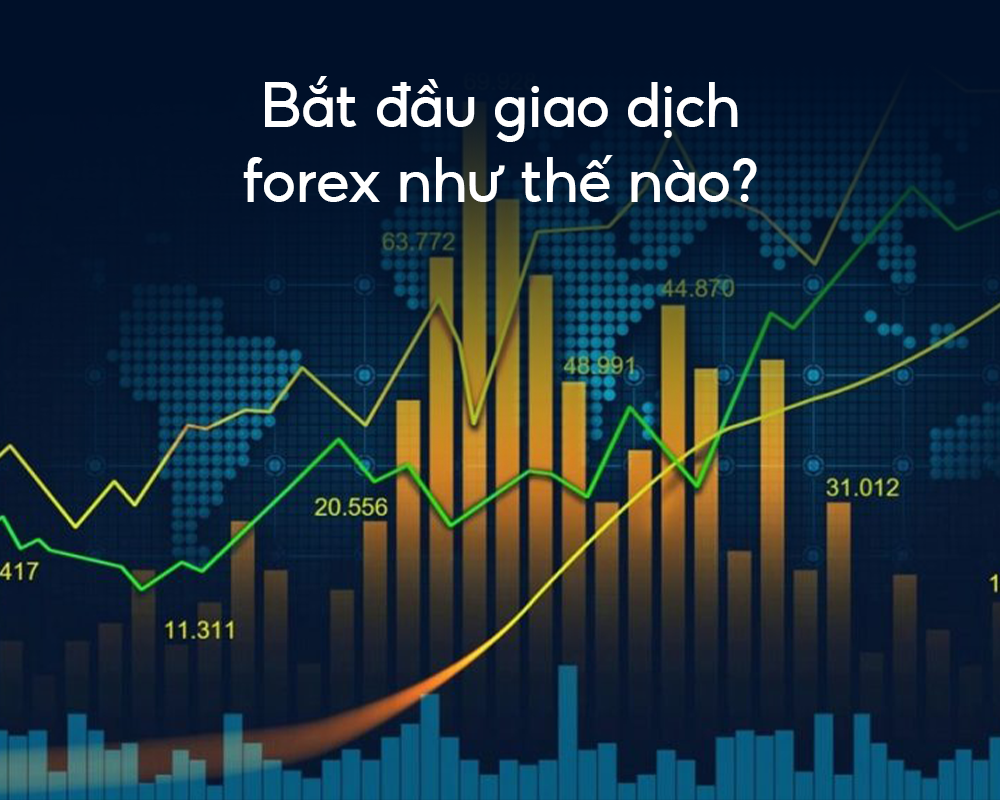 bat-dau-giao-dich-forex-nhu-the-nao