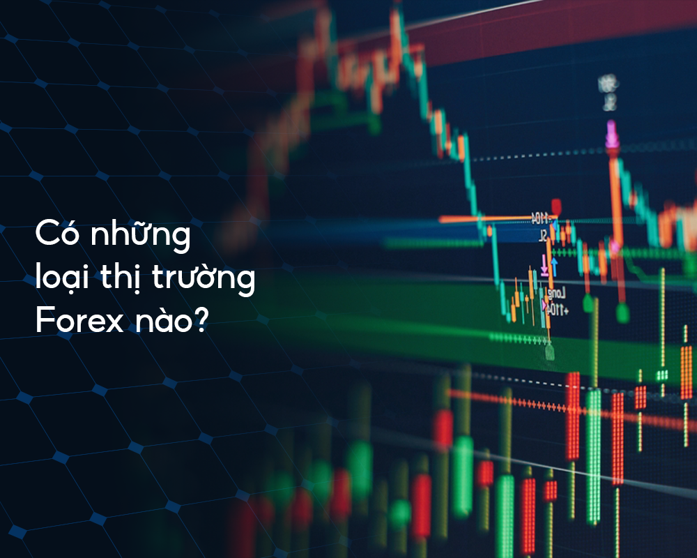 co-nhung-loai-thi-truong-forex-nao