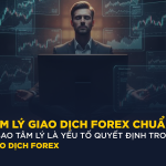 Tâm Lý Giao Dịch Forex Chuẩn: VÌ SAO TÂM LÝ LÀ YẾU TỐ QUYẾT ĐỊNH TRONG GIAO DỊCH FOREX