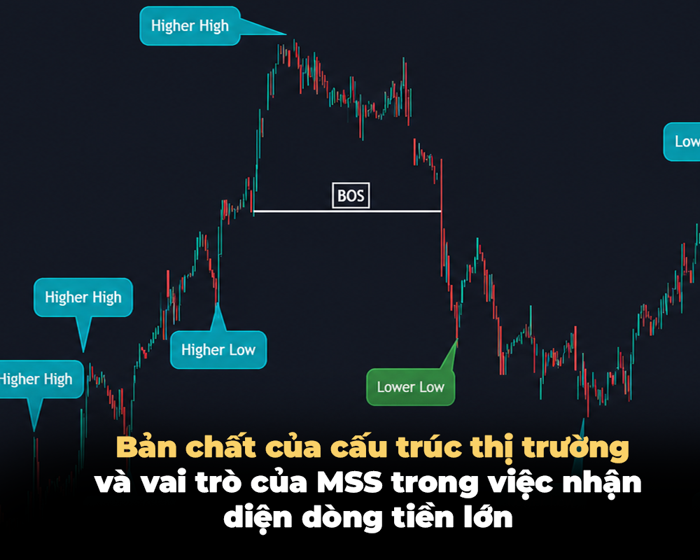 BẢN CHẤT CỦA CẤU TRÚC THỊ TRƯỜNG VÀ VAI TRÒ CỦA MSS TRONG VIỆC NHẬN DIỆN DÒNG TIỀN LỚN