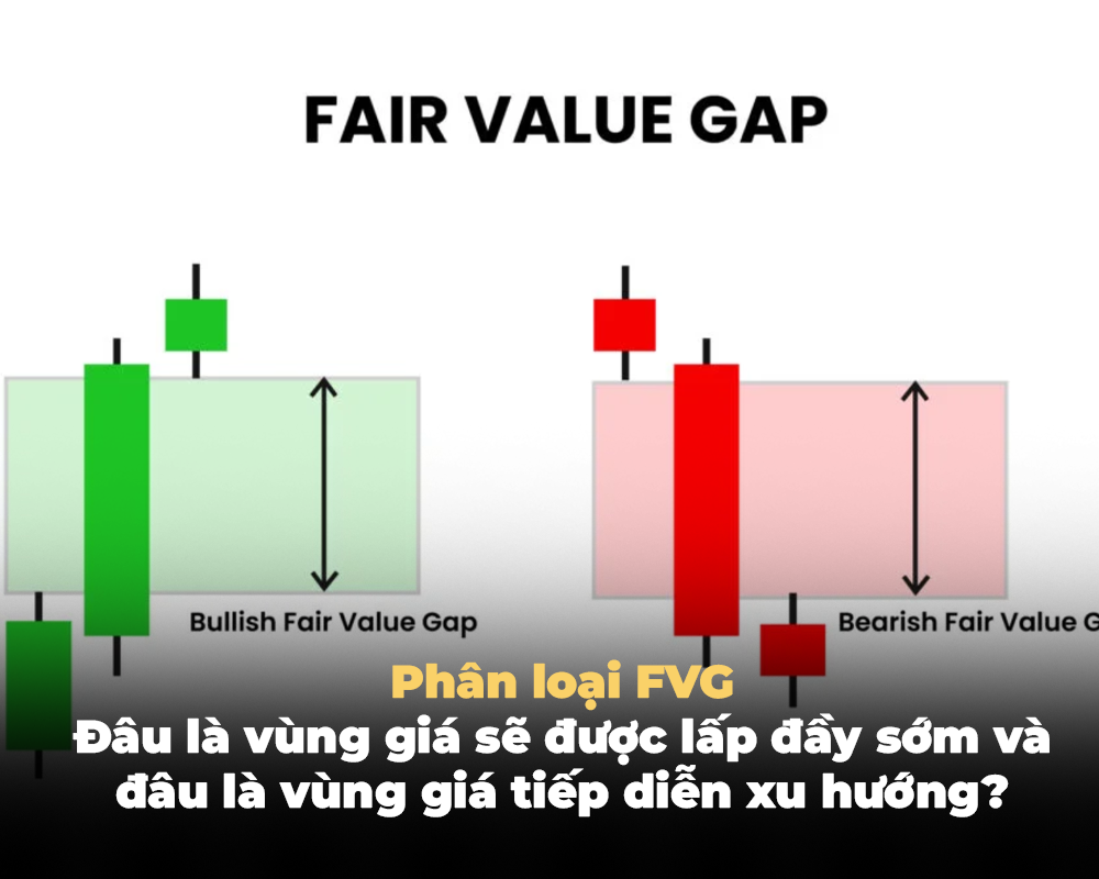 PHÂN LOẠI FVG