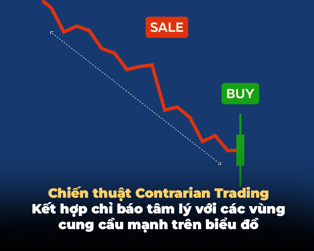 CHIẾN THUẬT CONTRARIAN TRADING: KẾT HỢP CHỈ BÁO TÂM LÝ VỚI CÁC VÙNG CUNG CẦU MẠNH TRÊN BIỂU ĐỒ
