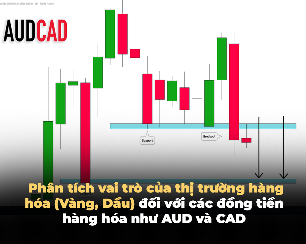 PHÂN TÍCH VAI TRÒ CỦA THỊ TRƯỜNG HÀNG HÓA (VÀNG, DẦU) ĐỐI VỚI CÁC ĐỒNG TIỀN HÀNG HÓA NHƯ AUD VÀ CAD