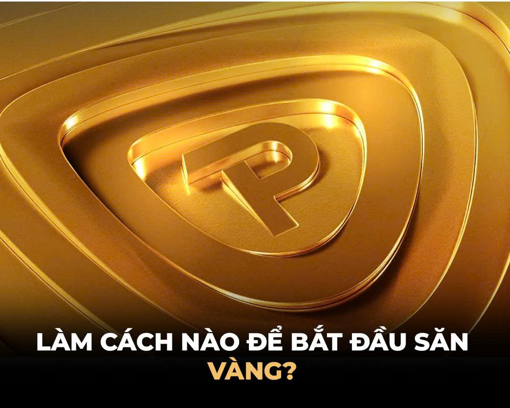 Làm cách nào để bắt đầu săn vàng