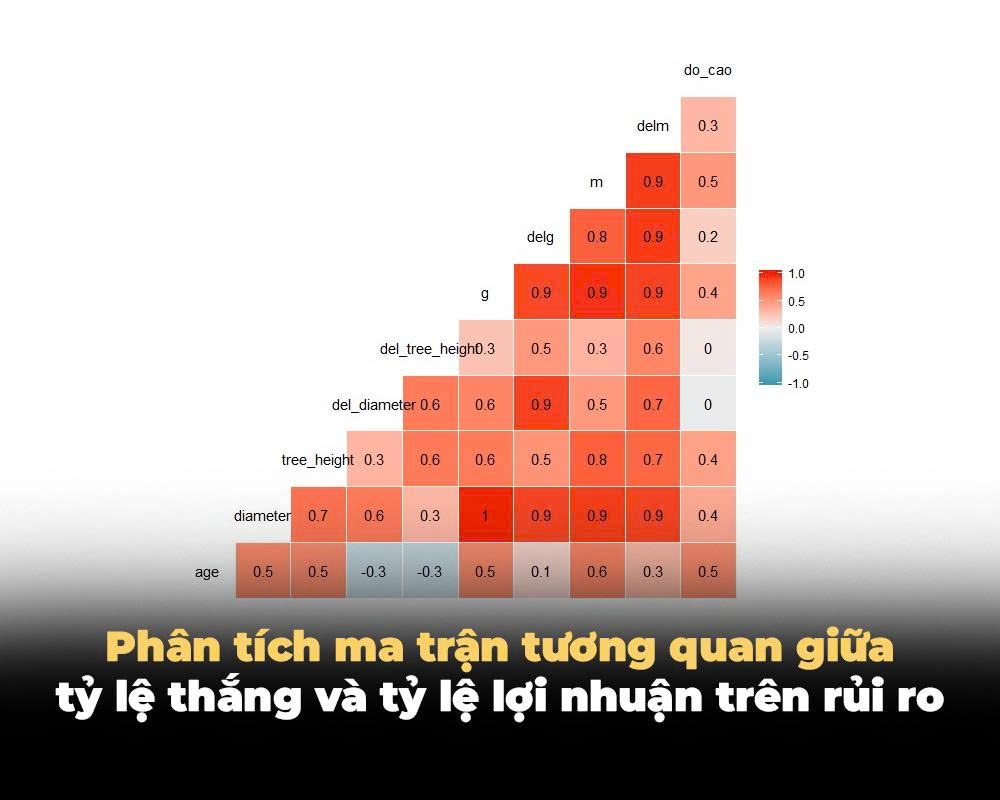 PHÂN TÍCH MA TRẬN TƯƠNG QUAN GIỮA TỶ LỆ THẮNG VÀ TỶ LỆ LỢI NHUẬN TRÊN RỦI RO